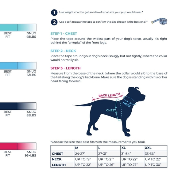 Pink "Netflix & Chill" Pit Bull Pajamas - Pittie Clothing Co. - L - Picture 3 of 3